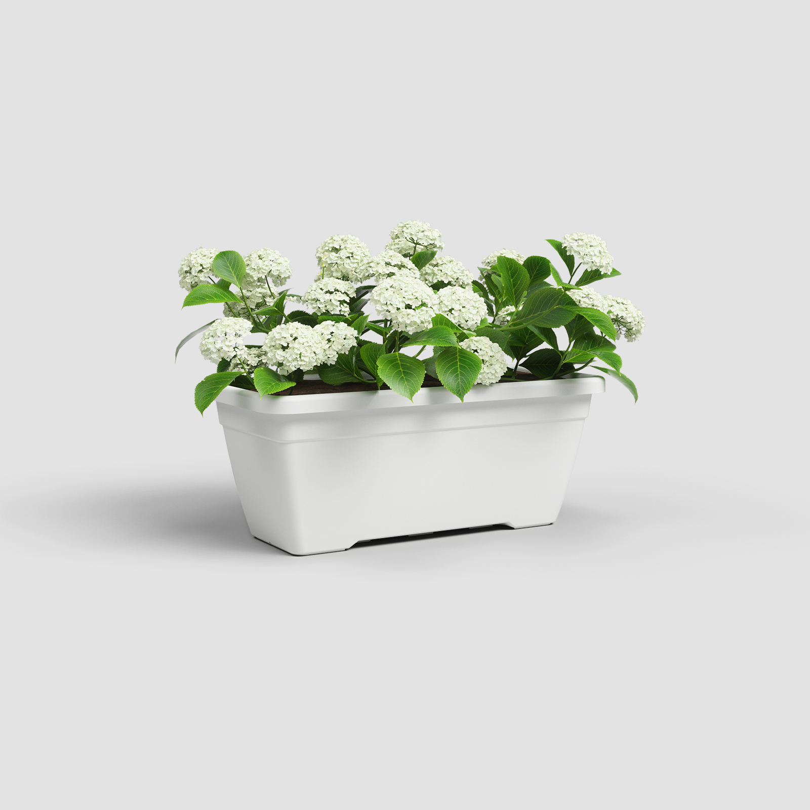 Venezia Plant Box