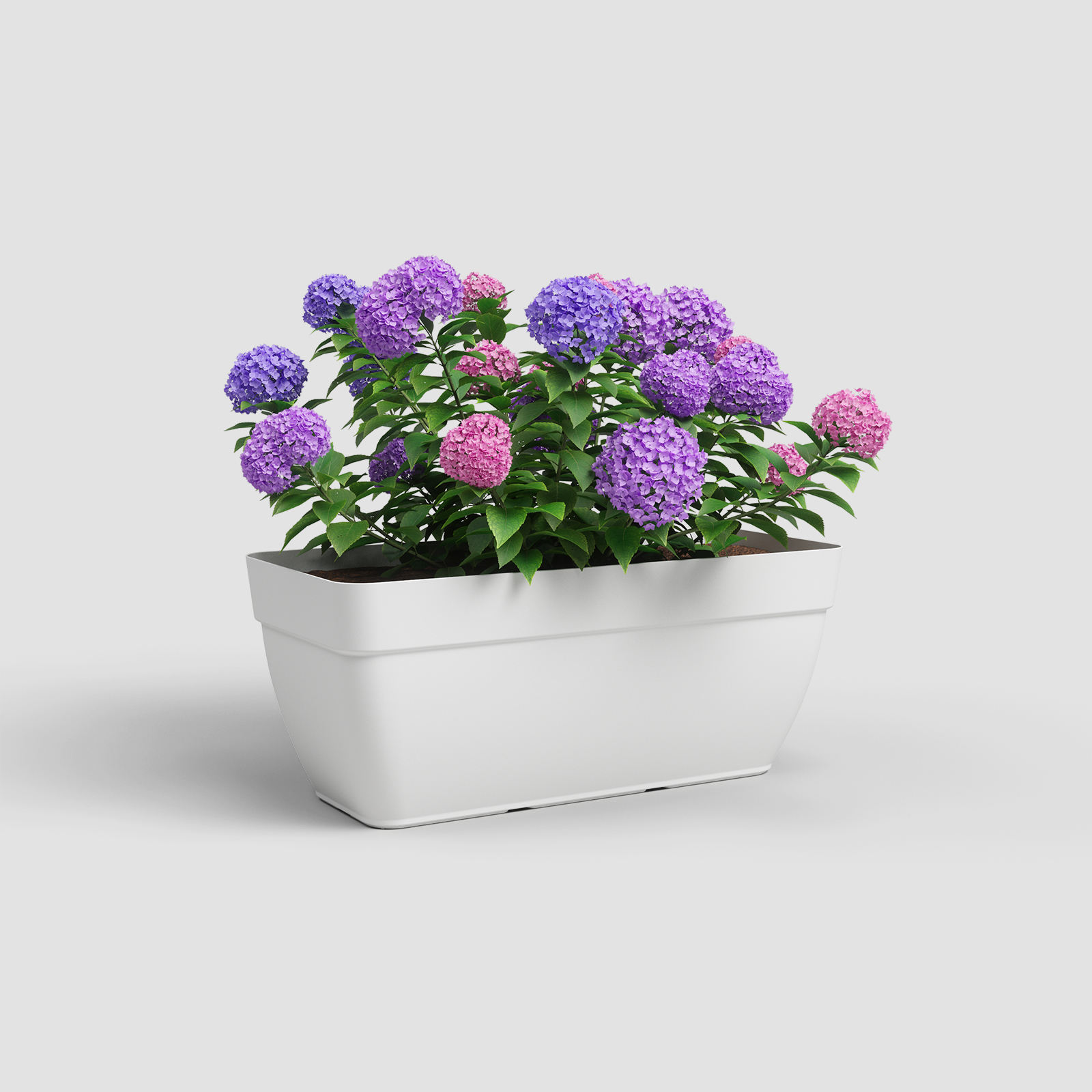 Capri Campana XL Plant Box